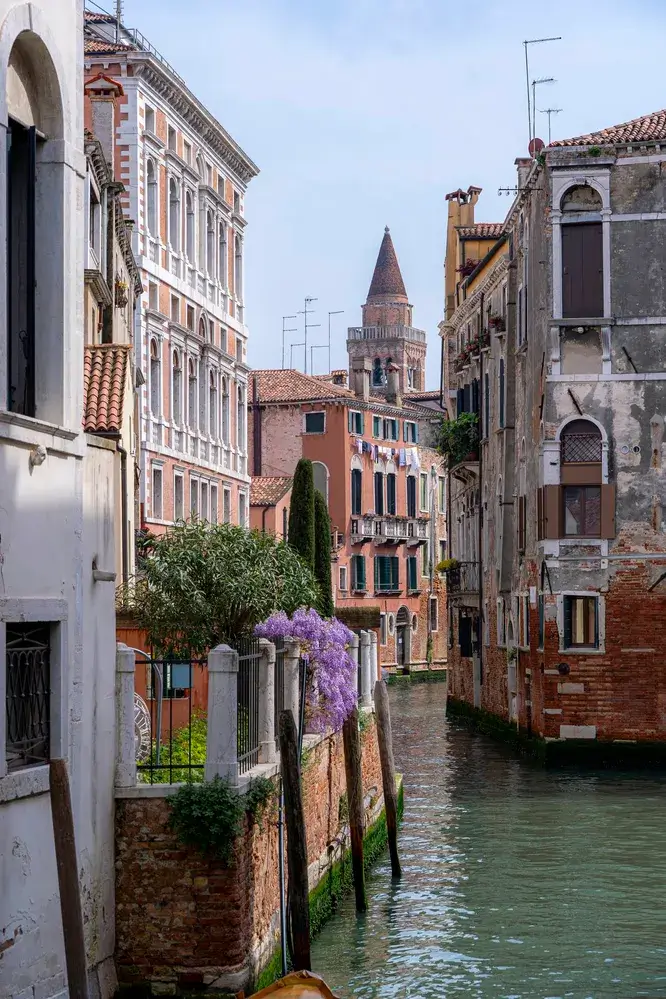 Canale di Venezia con edifici storici, fiori viola e un'alta torre sullo sfondo.