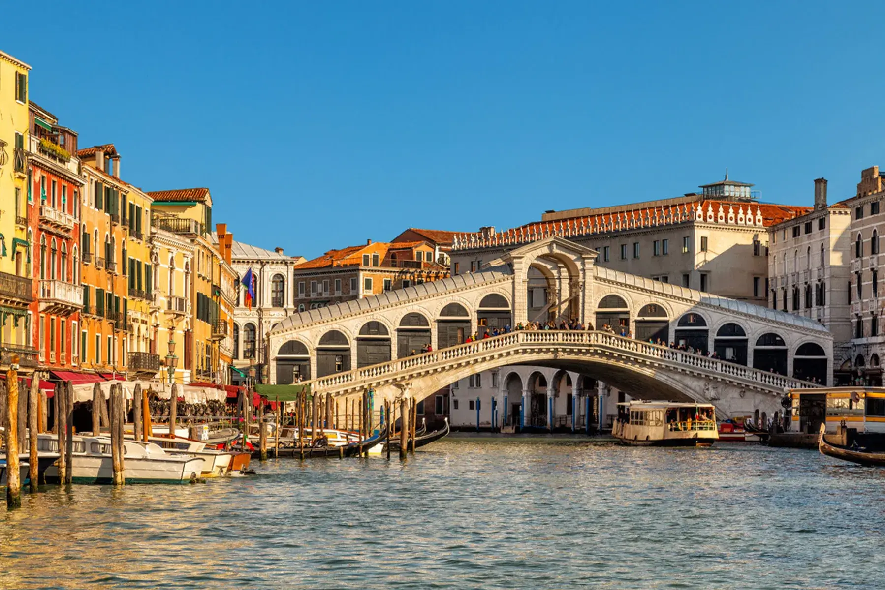 Il Ponte di Rialto sul Canal Grande di Venezia, con edifici e barche colorati.